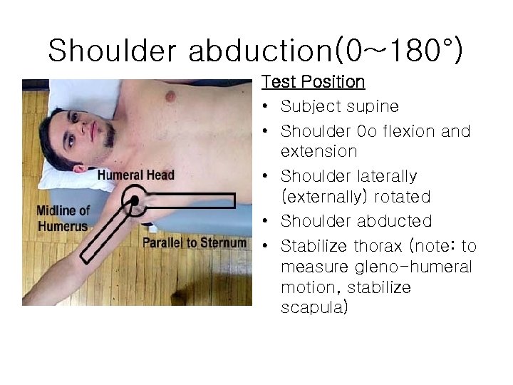 Shoulder abduction(0~180°) Test Position • Subject supine • Shoulder 0 o flexion and extension