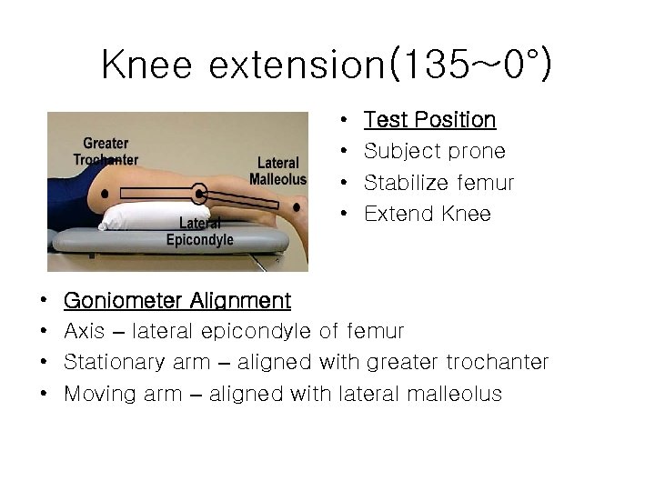 Knee extension(135~0°) • • Test Position Subject prone Stabilize femur Extend Knee Goniometer Alignment