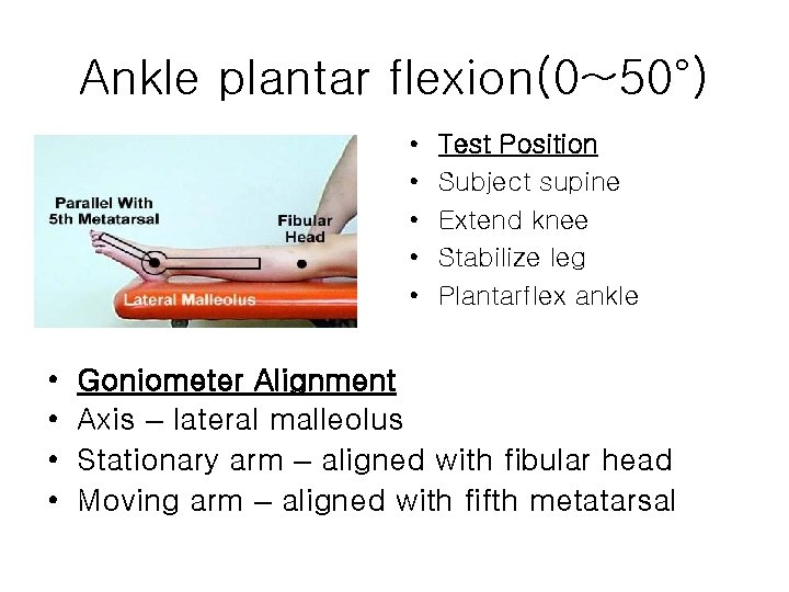 Ankle plantar flexion(0~50°) • • • Test Position Subject supine Extend knee Stabilize leg