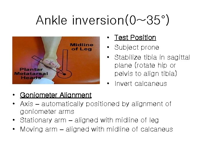 Ankle inversion(0~35°) • Test Position • Subject prone • Stabilize tibia in sagittal plane