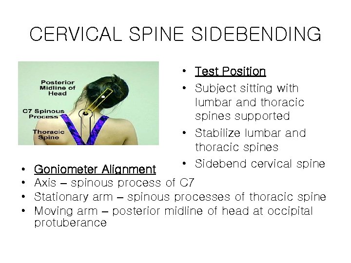 CERVICAL SPINE SIDEBENDING • • • Test Position • Subject sitting with lumbar and