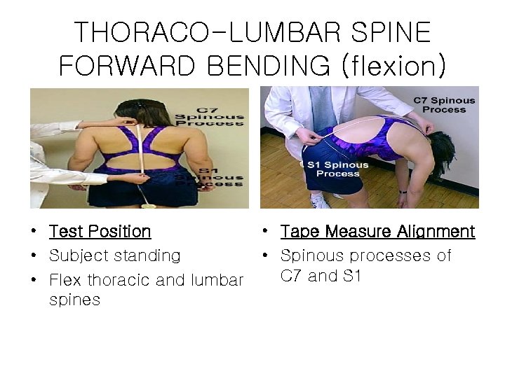 THORACO-LUMBAR SPINE FORWARD BENDING (flexion) • Test Position • Subject standing • Flex thoracic