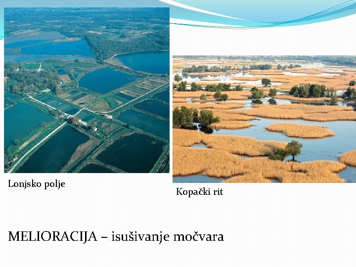 Lonjsko polje Kopački rit MELIORACIJA – isušivanje močvara 