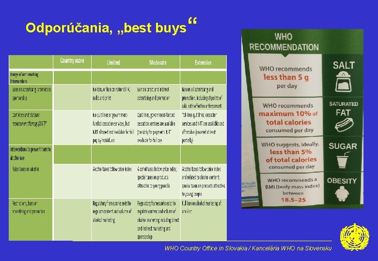 Odporúčania, „best buys“ WHO Country Office in Slovakia / Kancelária WHO na Slovensku 