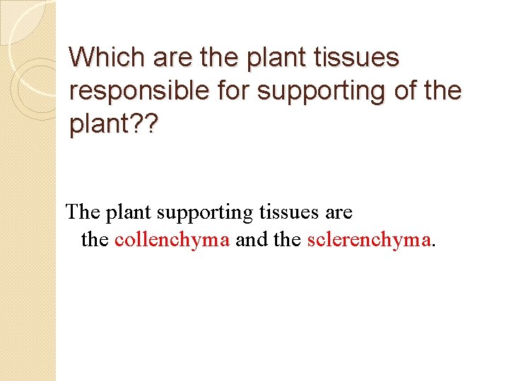 Which are the plant tissues responsible for supporting of the plant? ? The plant