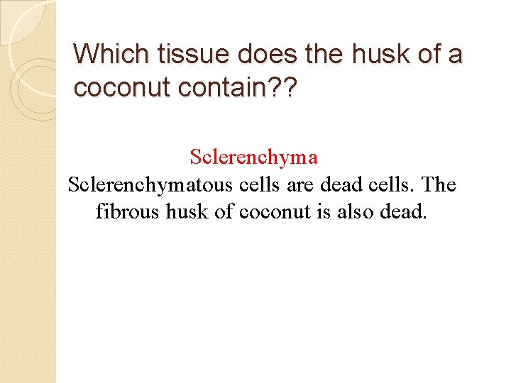 Which tissue does the husk of a coconut contain? ? Sclerenchymatous cells are dead