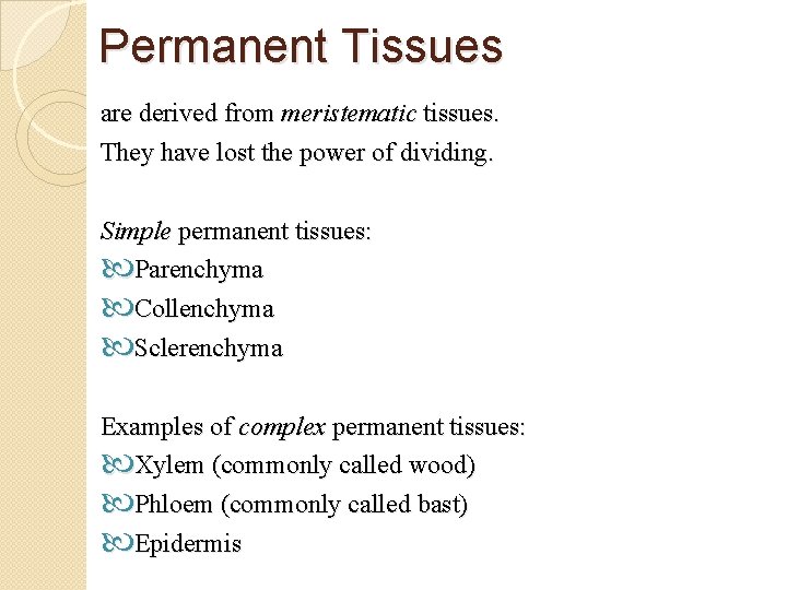 Permanent Tissues are derived from meristematic tissues. They have lost the power of dividing.