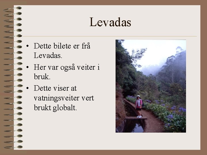 Levadas • Dette bilete er frå Levadas. • Her var også veiter i bruk.