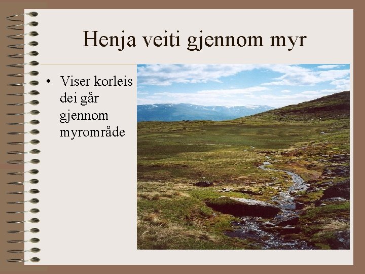 Henja veiti gjennom myr • Viser korleis dei går gjennom myrområde 