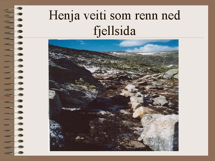 Henja veiti som renn ned fjellsida 