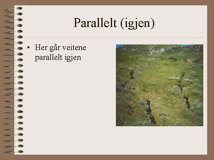 Parallelt (igjen) • Her går veitene parallelt igjen 