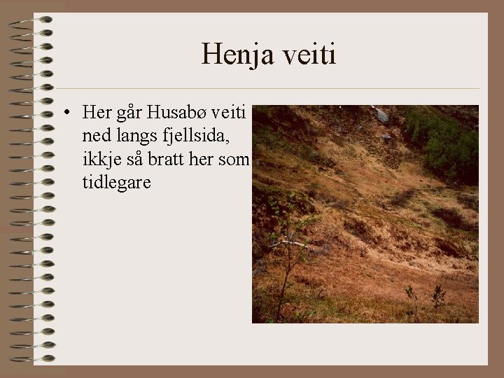 Henja veiti • Her går Husabø veiti ned langs fjellsida, ikkje så bratt her