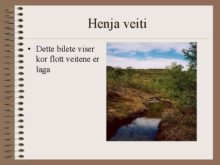 Henja veiti • Dette bilete viser kor flott veitene er laga 