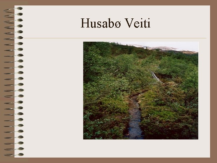 Husabø Veiti 