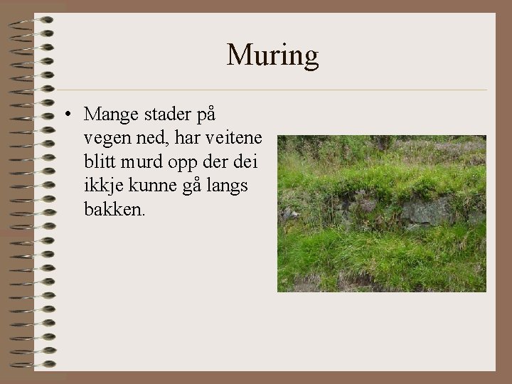 Muring • Mange stader på vegen ned, har veitene blitt murd opp der dei