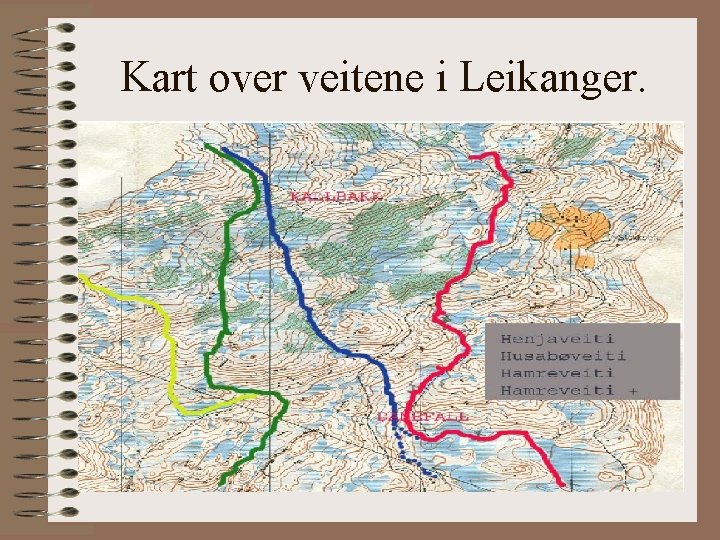Kart over veitene i Leikanger. 