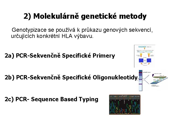 2) Molekulárně genetické metody Genotypizace se používá k průkazu genových sekvencí, určujících konkrétní HLA