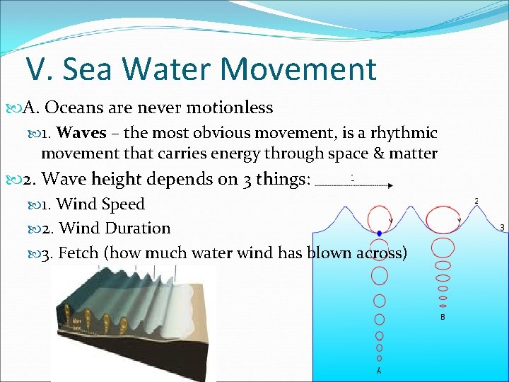 V. Sea Water Movement A. Oceans are never motionless 1. Waves – the most