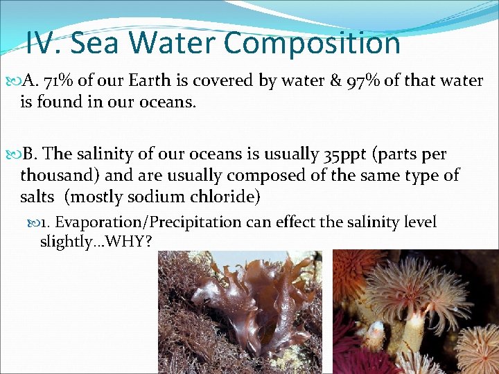 IV. Sea Water Composition A. 71% of our Earth is covered by water &