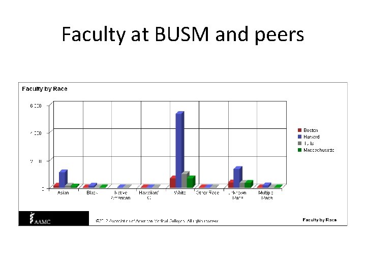 Faculty at BUSM and peers 