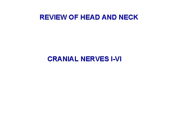 REVIEW OF HEAD AND NECK CRANIAL NERVES I-VI 