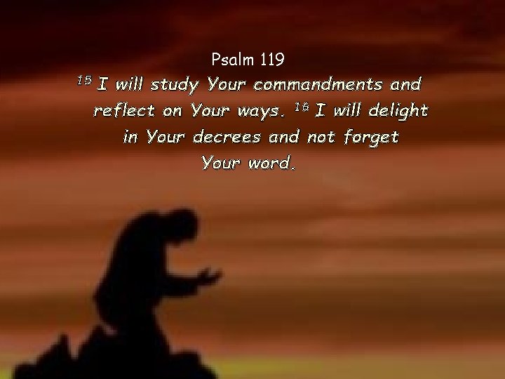 Psalm 119 15 I will study Your commandments and reflect on Your ways. 16 Psalm 119 15 I will study Your commandments and reflect on Your ways. 16