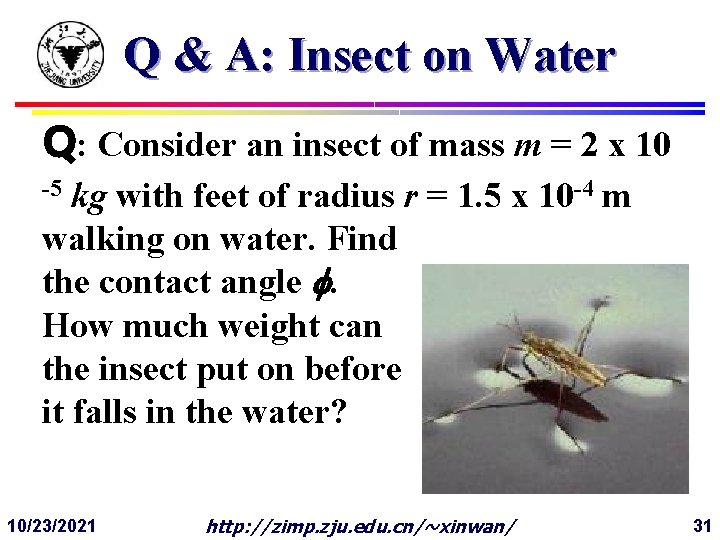 Q & A: Insect on Water Q: Consider an insect of mass m =