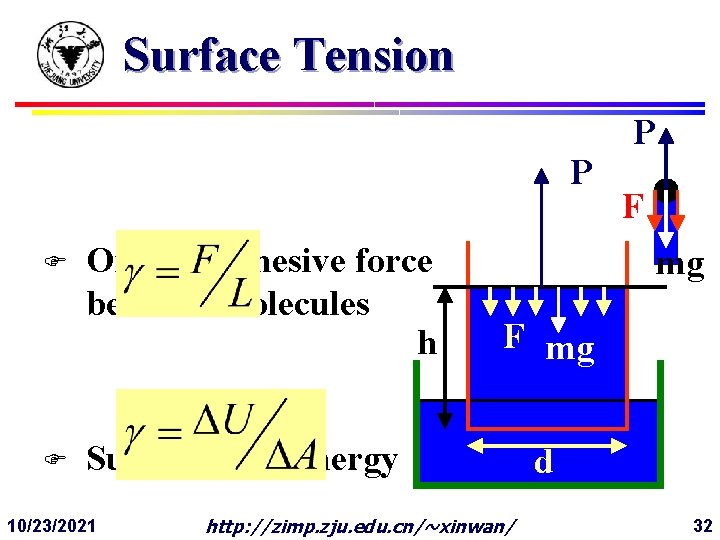 Surface Tension P F F Origin: Cohesive force between molecules h F mg Surface