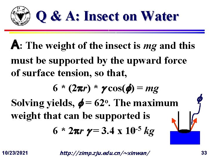 Q & A: Insect on Water A: The weight of the insect is mg