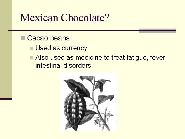 Mexican Chocolate? n Cacao beans n Used as currency. n Also used as medicine