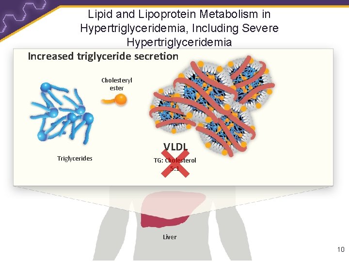 Lipid and Lipoprotein Metabolism in Hypertriglyceridemia, Including Severe Hypertriglyceridemia Increased triglyceride secretion Cholesteryl ester