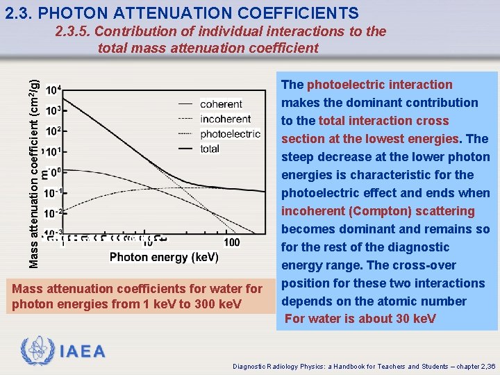2. 3. PHOTON ATTENUATION COEFFICIENTS Mass attenuation coefficient (cm 2/g) 2. 3. 5. Contribution 2. 3. PHOTON ATTENUATION COEFFICIENTS Mass attenuation coefficient (cm 2/g) 2. 3. 5. Contribution