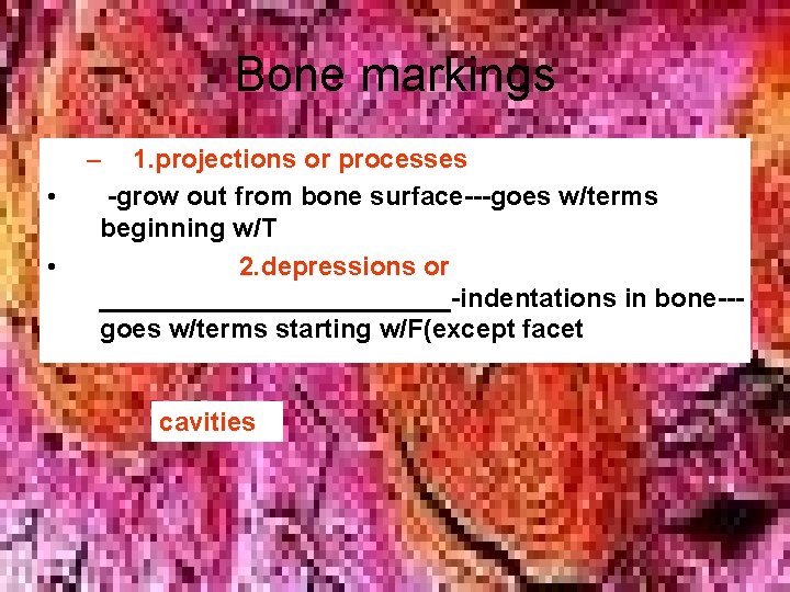 Bone markings – • • 1. projections or processes -grow out from bone surface---goes