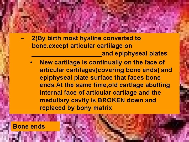 – 2)By birth most hyaline converted to bone. except articular cartilage on __________and epiphyseal
