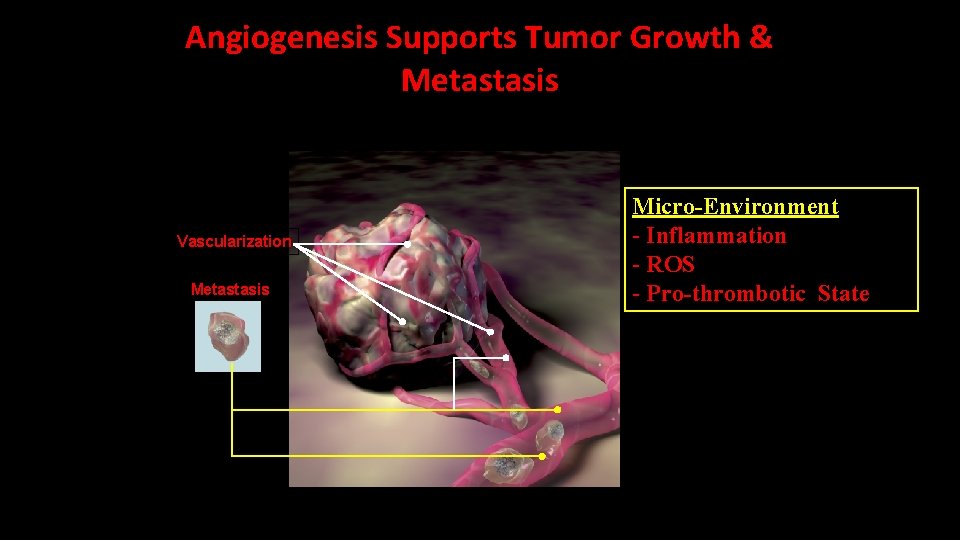 Angiogenesis Supports Tumor Growth & Metastasis Vascularization Metastasis Micro-Environment - Inflammation - ROS -