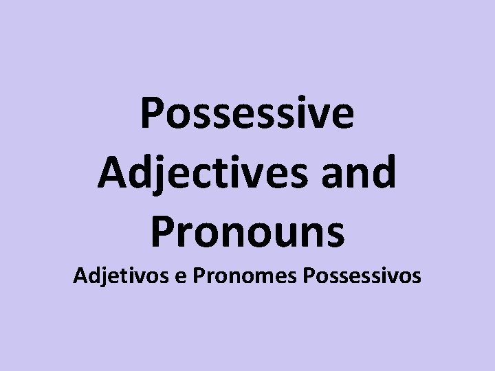 Possessive Adjectives and Pronouns Adjetivos e Pronomes Possessivos 