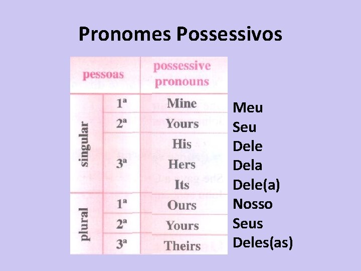 Pronomes Possessivos Meu Seu Dele Dela Dele(a) Nosso Seus Deles(as) 