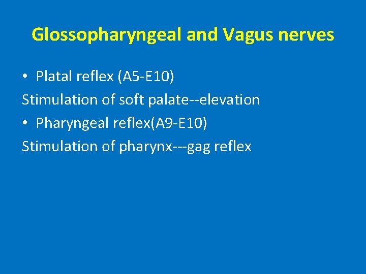 Glossopharyngeal and Vagus nerves • Platal reflex (A 5 -E 10) Stimulation of soft