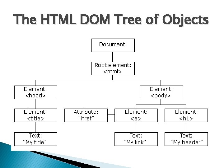 The HTML DOM Tree of Objects 