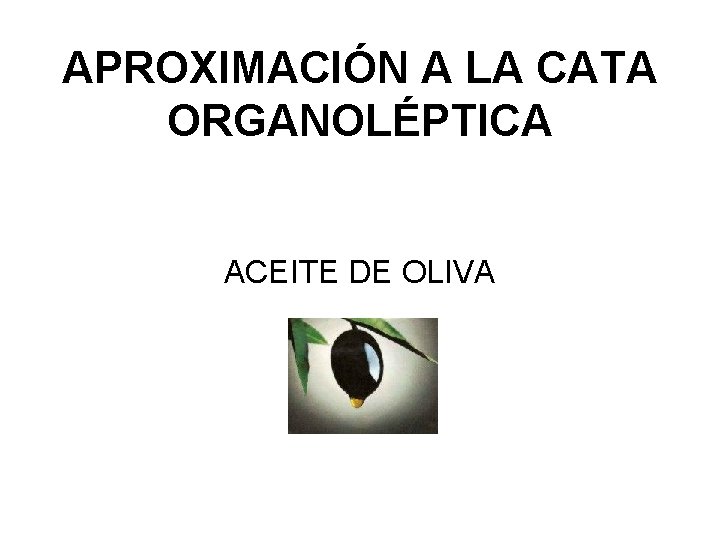 APROXIMACIÓN A LA CATA ORGANOLÉPTICA ACEITE DE OLIVA 