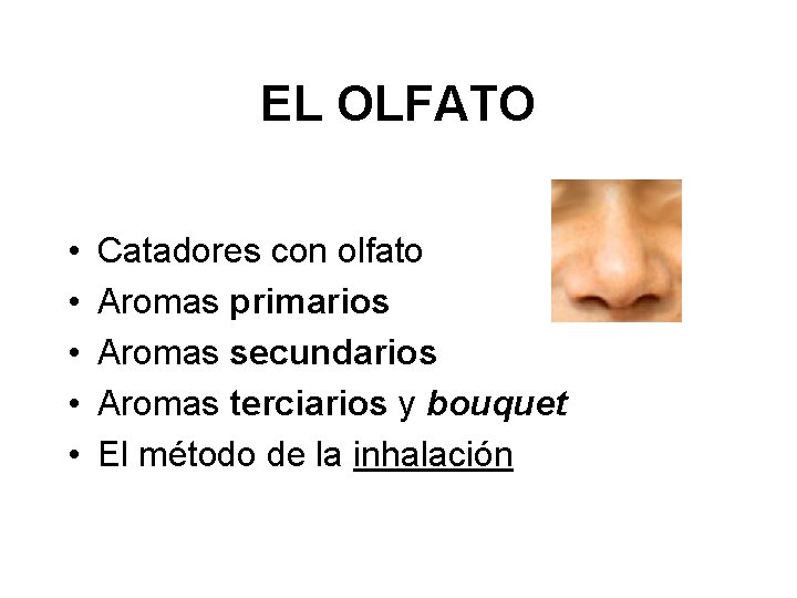 EL OLFATO • • • Catadores con olfato Aromas primarios Aromas secundarios Aromas terciarios