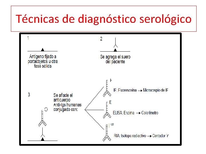 Técnicas de diagnóstico serológico 