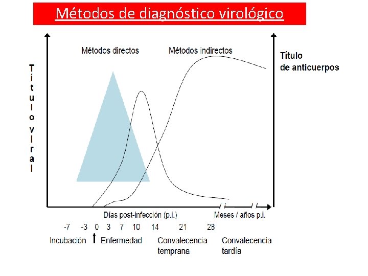 Métodos de diagnóstico virológico 