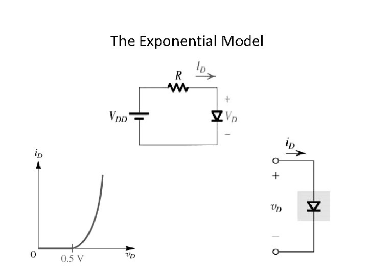 The Exponential Model 