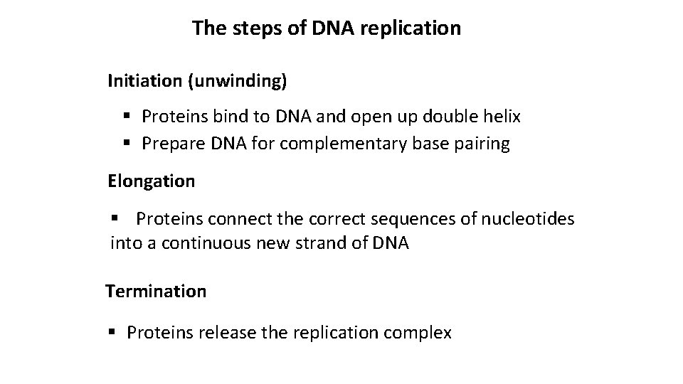 The steps of DNA replication Initiation (unwinding) § Proteins bind to DNA and open