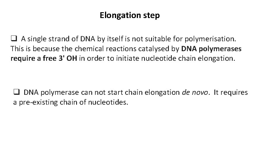 Elongation step q A single strand of DNA by itself is not suitable for