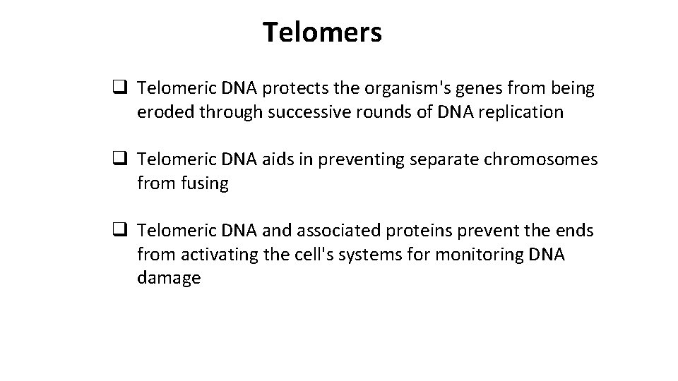 Telomers q Telomeric DNA protects the organism's genes from being eroded through successive rounds