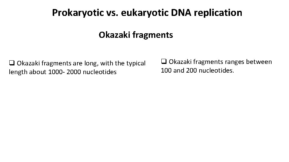 Prokaryotic vs. eukaryotic DNA replication Okazaki fragments q Okazaki fragments are long, with the