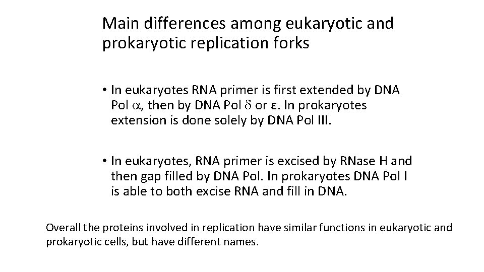 Main differences among eukaryotic and prokaryotic replication forks • In eukaryotes RNA primer is