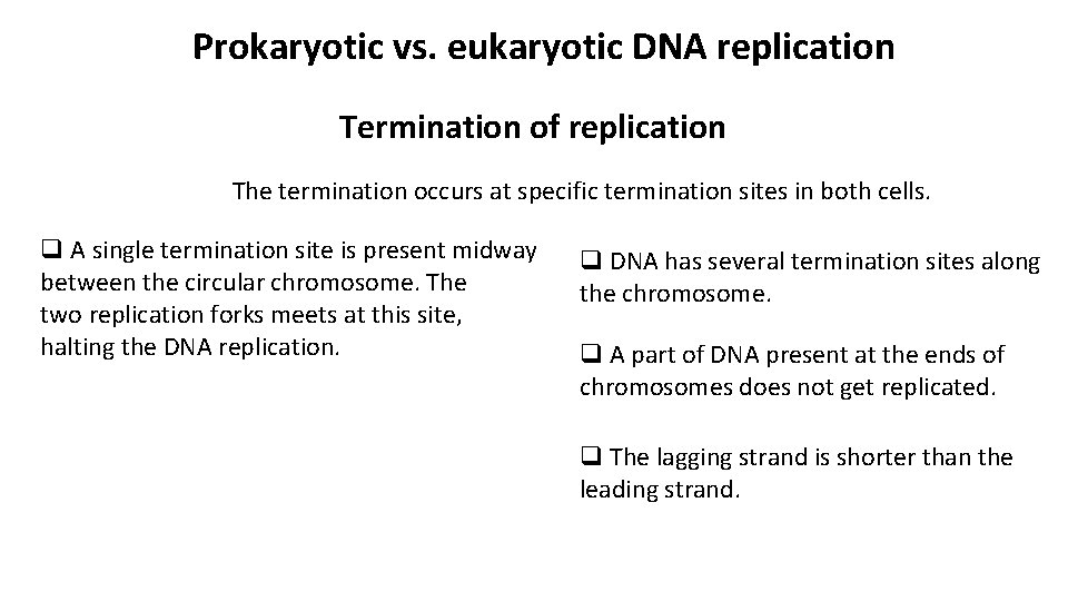 Prokaryotic vs. eukaryotic DNA replication Termination of replication The termination occurs at specific termination